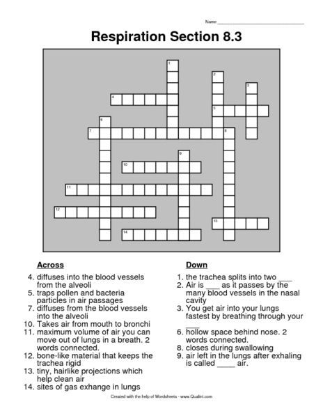 Math Worksheet   Photosynthesis And Cellular Respiration