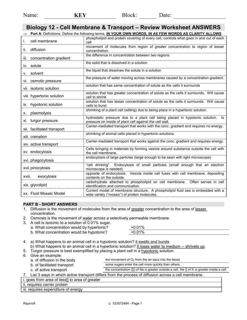 Membrane Transport Worksheet 406063