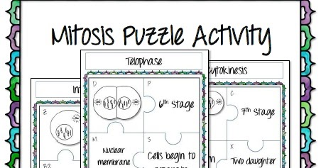 Mitosis Puzzle Activity