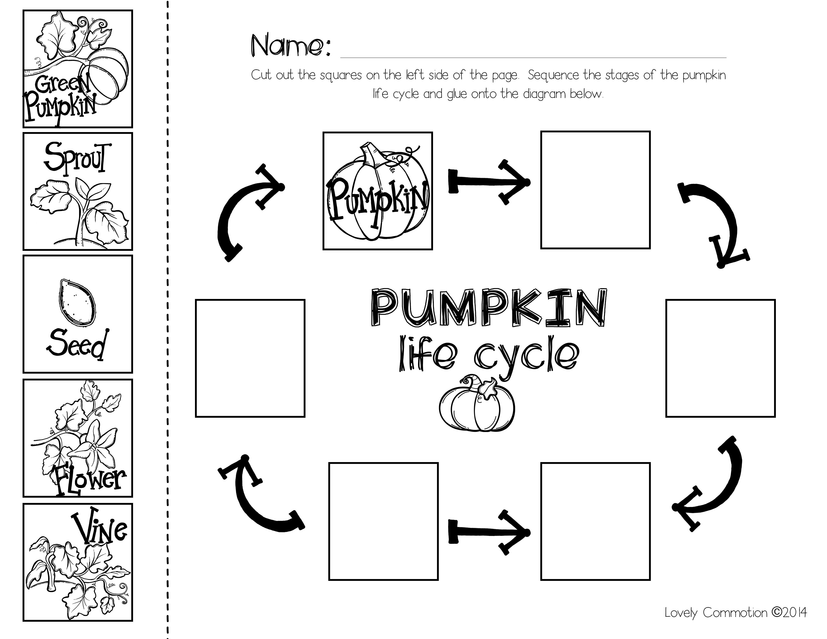 Pumpkin Sequencing With The Book Life Math Worksheets Kindergarten