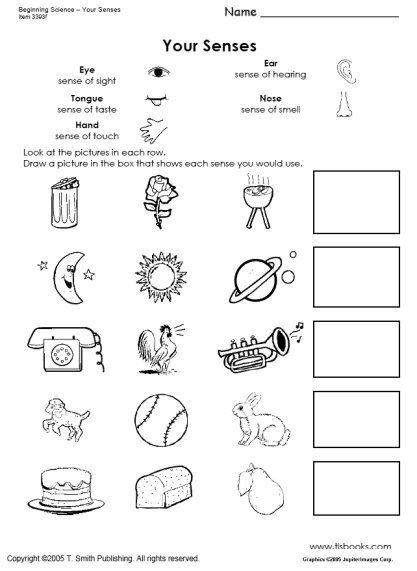 Snapshot Image Of Beginning Science Worksheets About The Five
