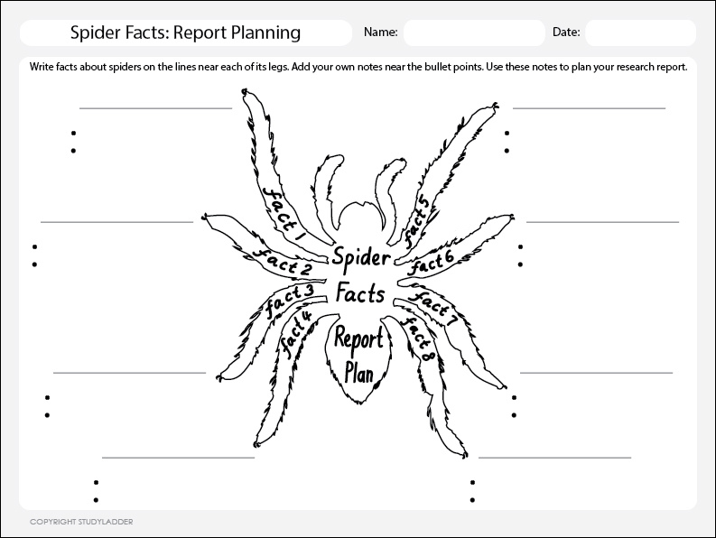 Spider Facts  Note Taking Worksheet, Science Skills Online