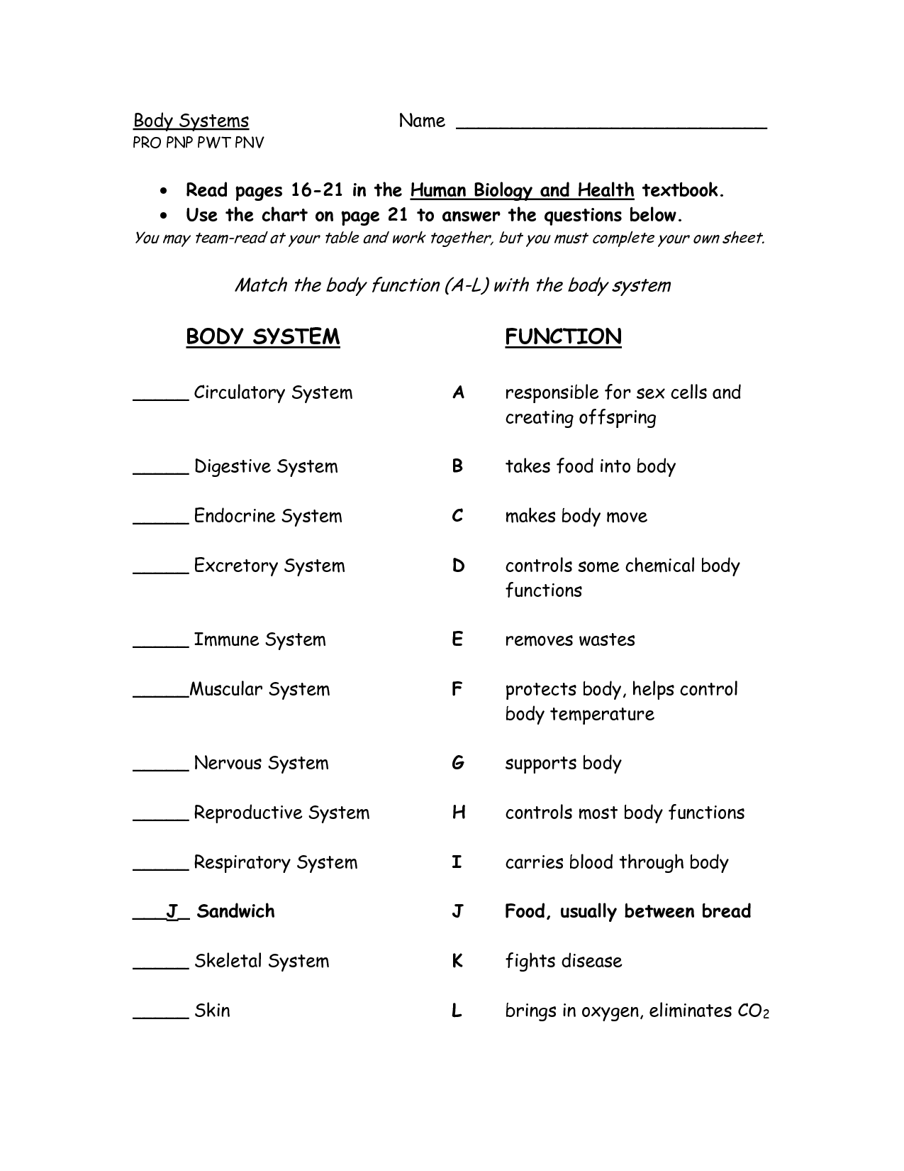 Systems Of The Body Worksheets The Best Worksheets Image