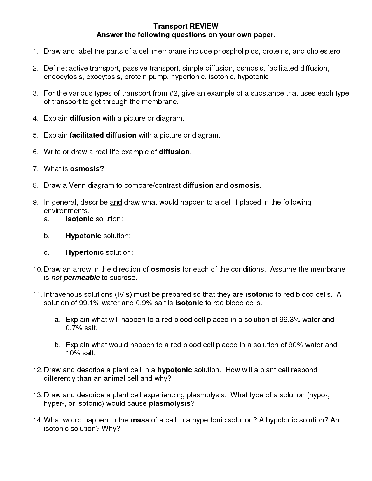 Passive And Active Transport Worksheets Answers