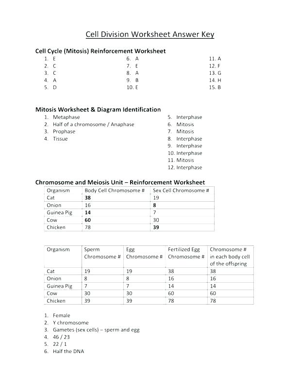 Unlock Excel Workbook 2010 Excel Workbook Excel Workbook Workbook