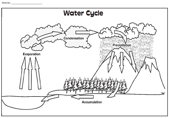 Weather Cycle Worksheet The Best Worksheets Image Collection