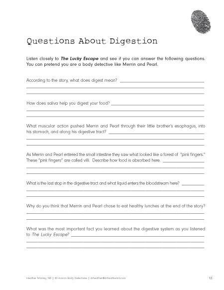 28 Unique Digestive System Activities For Kindergarten