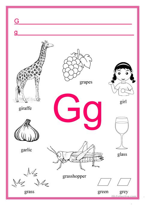 Alphabet Letter G Worksheet