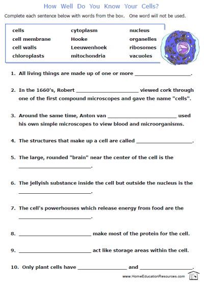 Biology Practice Worksheets Free Printable Cells Worksheets Fill