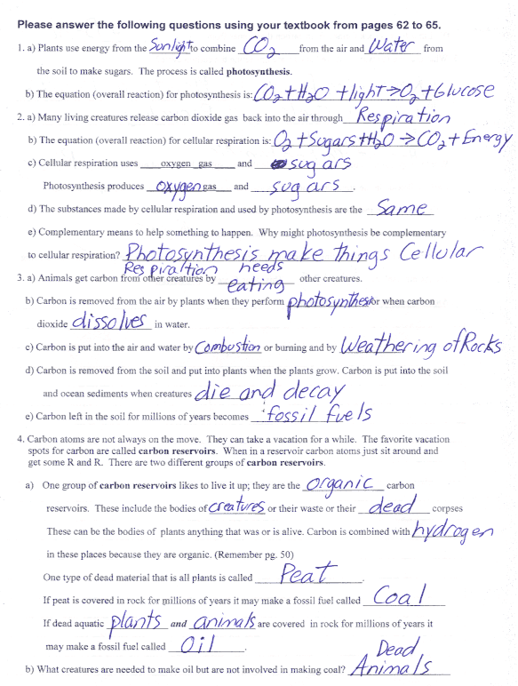 Carbon Cycle Worksheet Answers