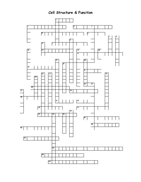 Cell Structure And Function Worksheet Answer Key Awesome 69 Best