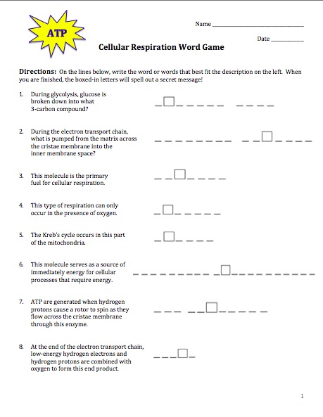 Cellular Respiration Flow Chart Worksheet New Photosynthesis And Cellular Respiration Flow Chart Worksheet New Photosynthesis And