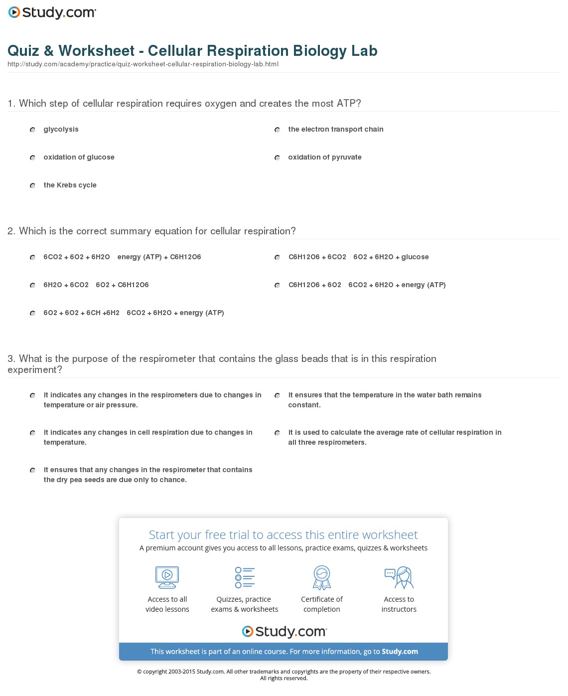 Cellular Respiration Worksheet Key 970176