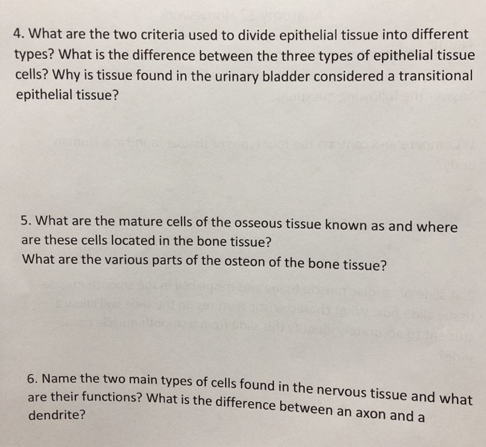 Chapter 5 Tissues Worksheet Answers Beautiful Chapter 3 Cells And