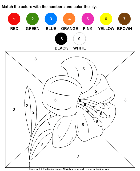 Color By Matching With Numbers Worksheet