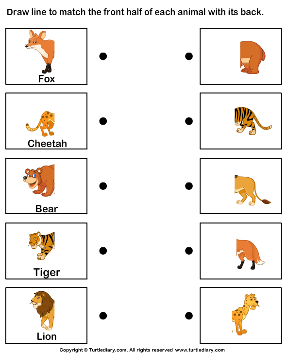Different Body Parts Of Animals Worksheet