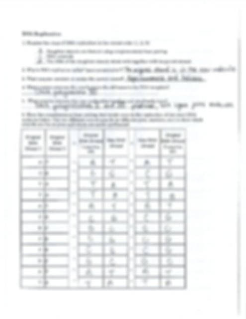 Dna The Molecule Of Heredity Worksheet