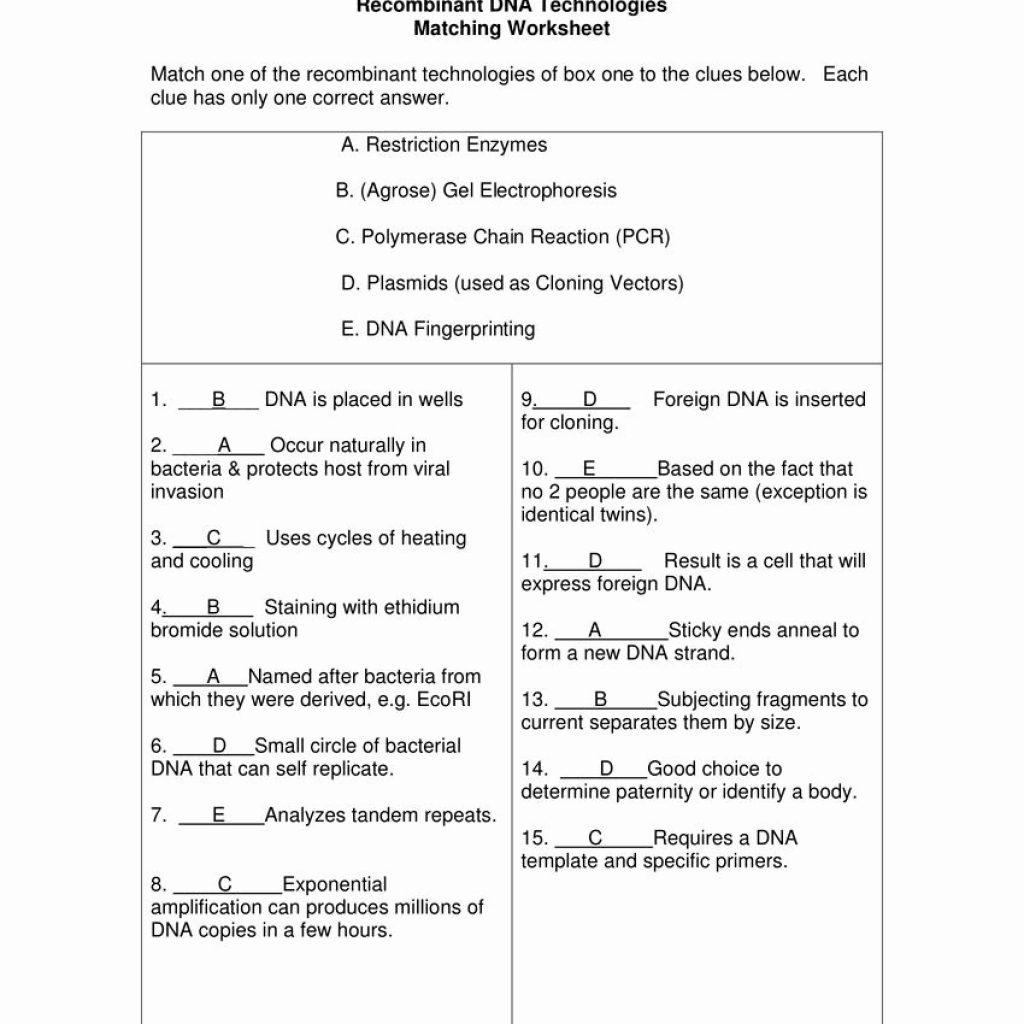 Dna The Molecule Of Heredity Worksheet Key  2735431