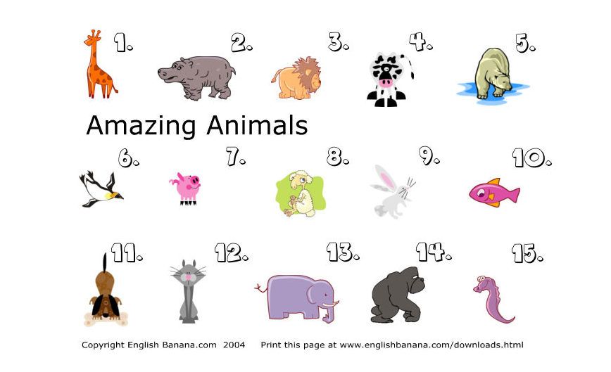Проект английский язык 3 класс животное animals English ESL Worksheets English worksheets for kids, English activities