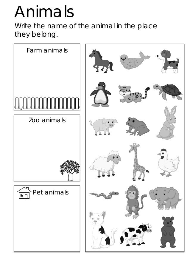 Esl Kindergarten Worksheets Free 440318