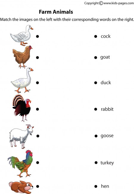 Farm Animals Matching Worksheet