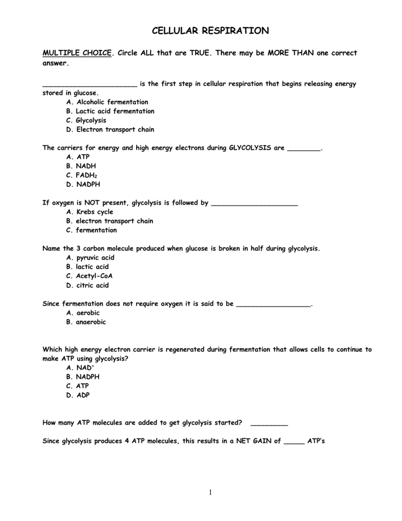 Figure 4 Atp Molecule Worksheet Answers Energy Iii Cellular