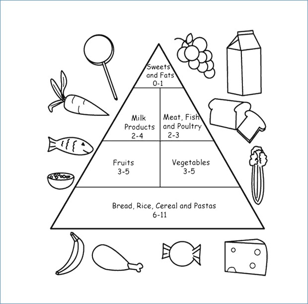 Free Food Pyramid Worksheets Food Pyramid Worksheet Globaltraderco