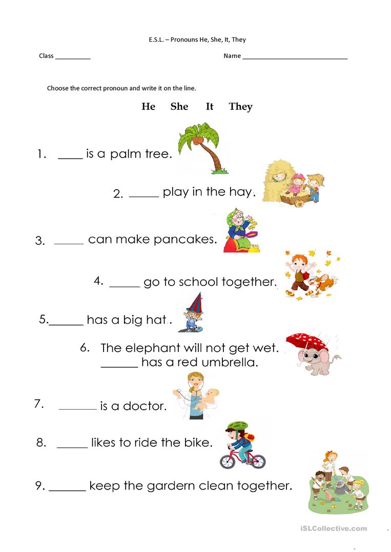 He And She Worksheets For Preschool  481818