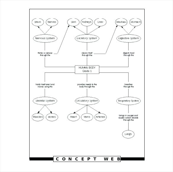 Human Body Systems Worksheets Pdf Or On Endocrine System Worksheet
