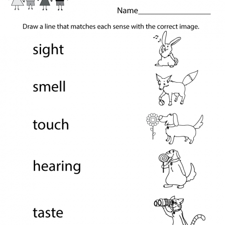 Kindergarten Learning Careers Worksheet Printable Can Also Use Kindergarten Learning Careers Worksheet Printable Can Also Use
