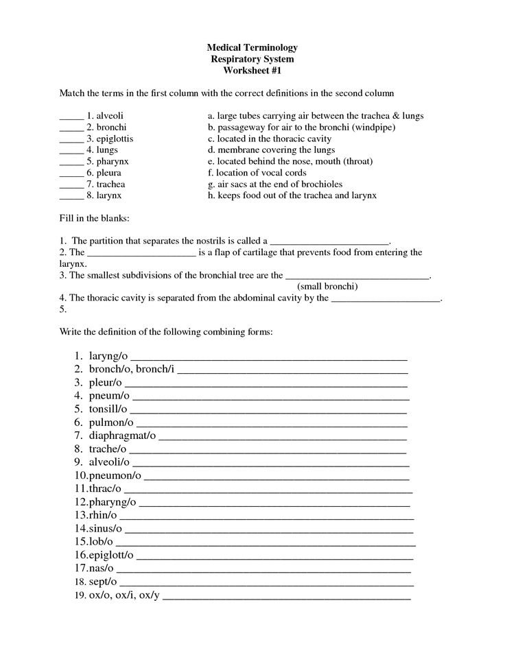 Medical Assistant Printable Worksheets  911870