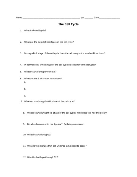 Mitosis Worksheet Matching Mitosis Matching Worksheet The Best