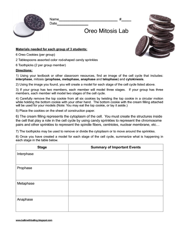 Oreo Mitosis Student Worksheet Balling