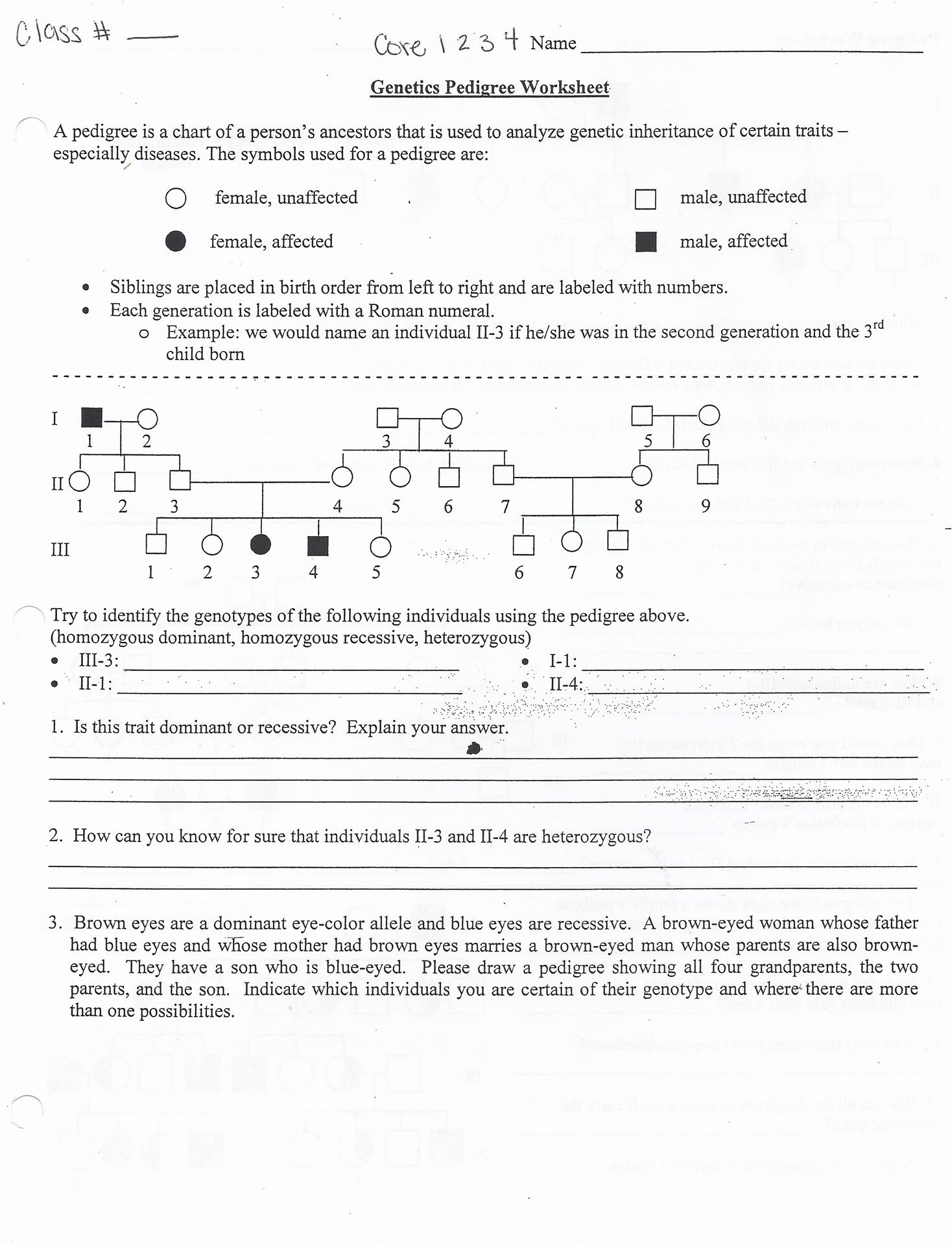 Pedigree Worksheet Side 2 Answers Key