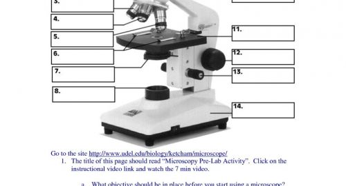 Perfect Microscope Parts And Use Worksheet Answer Key Az71 Perfect Microscope Parts And Use Worksheet Answer Key Az71