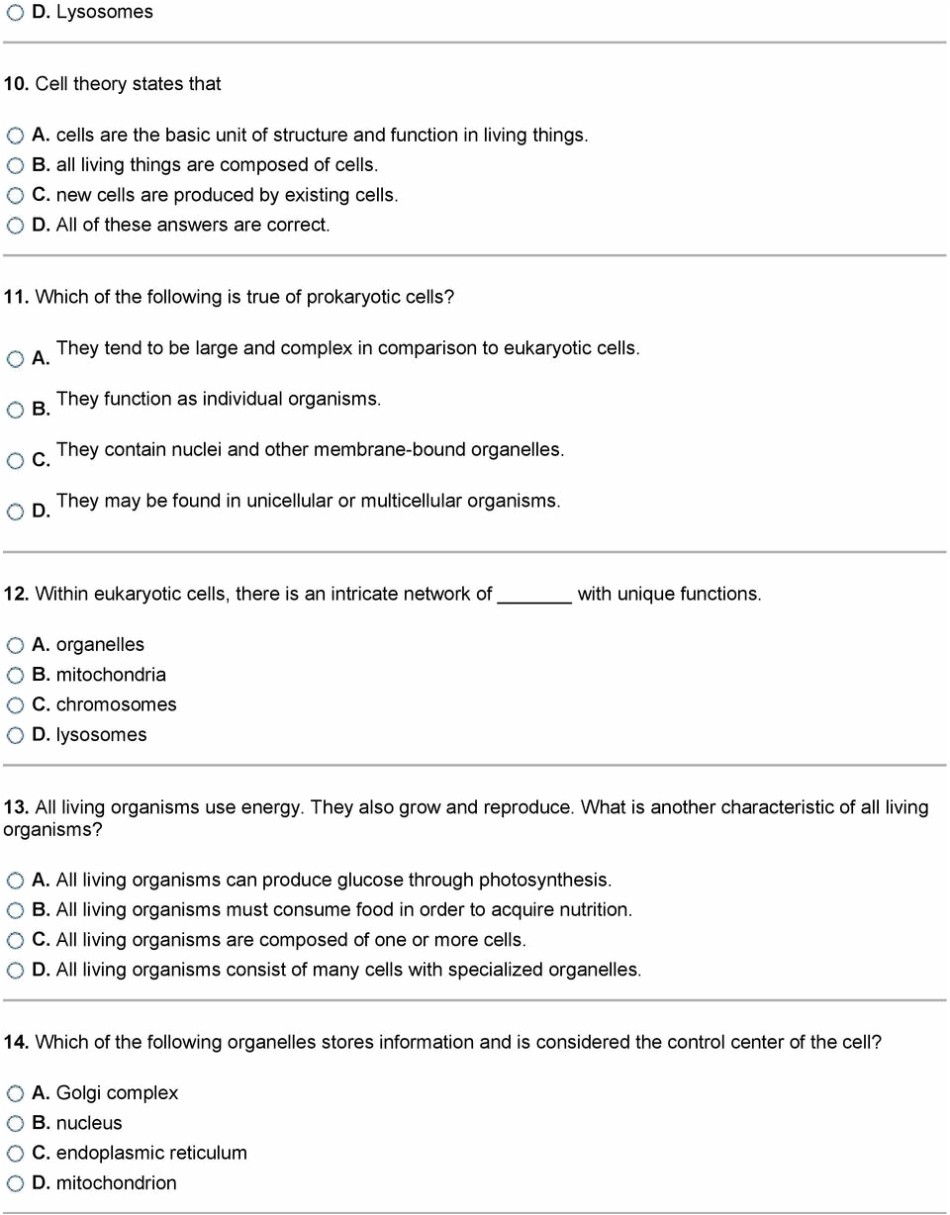 Photosynthesis Making Energy Worksheet With Answers