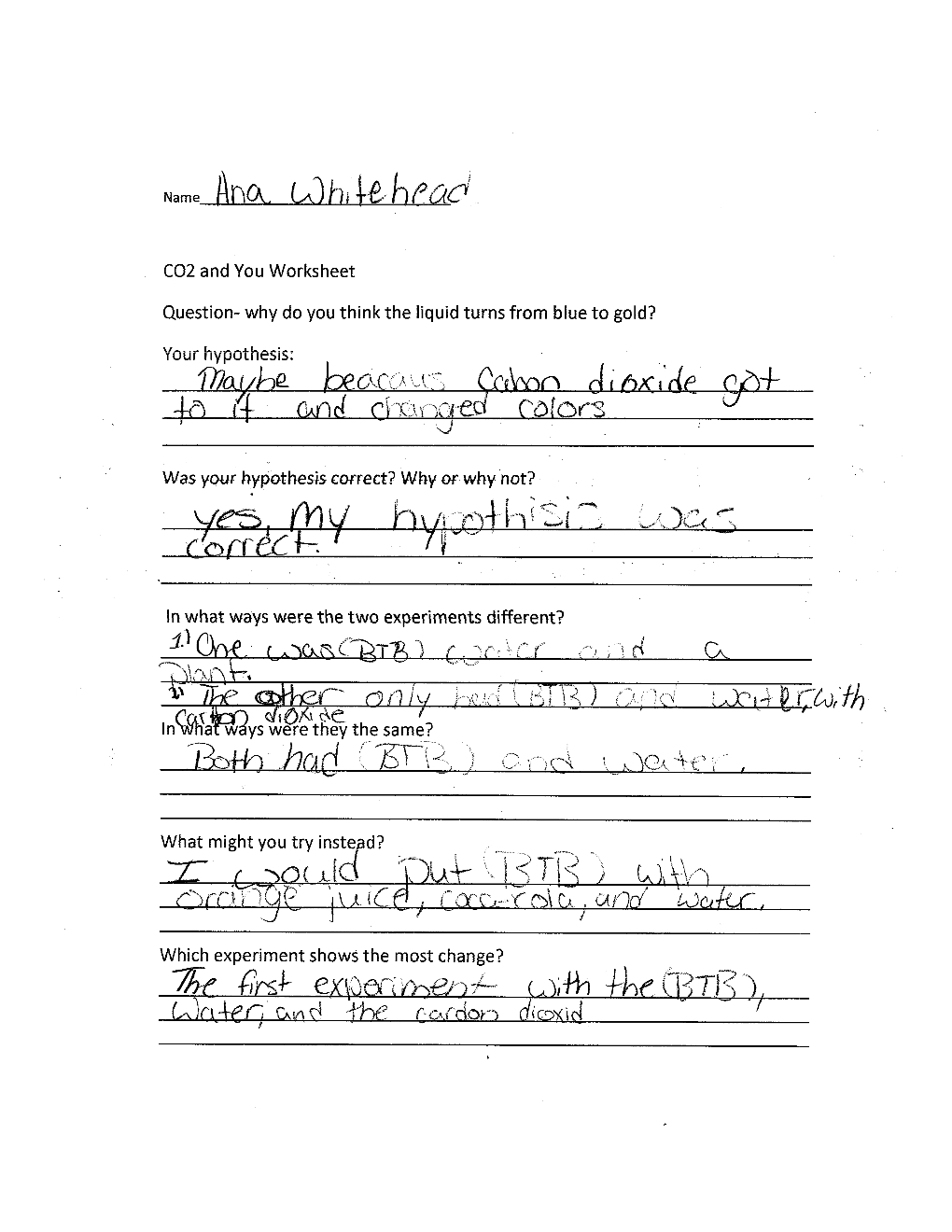 Photosynthesis Making Energy Worksheets Answer