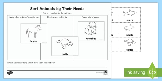 Sort Animals By Their Needs Worksheet   Activity Sheet