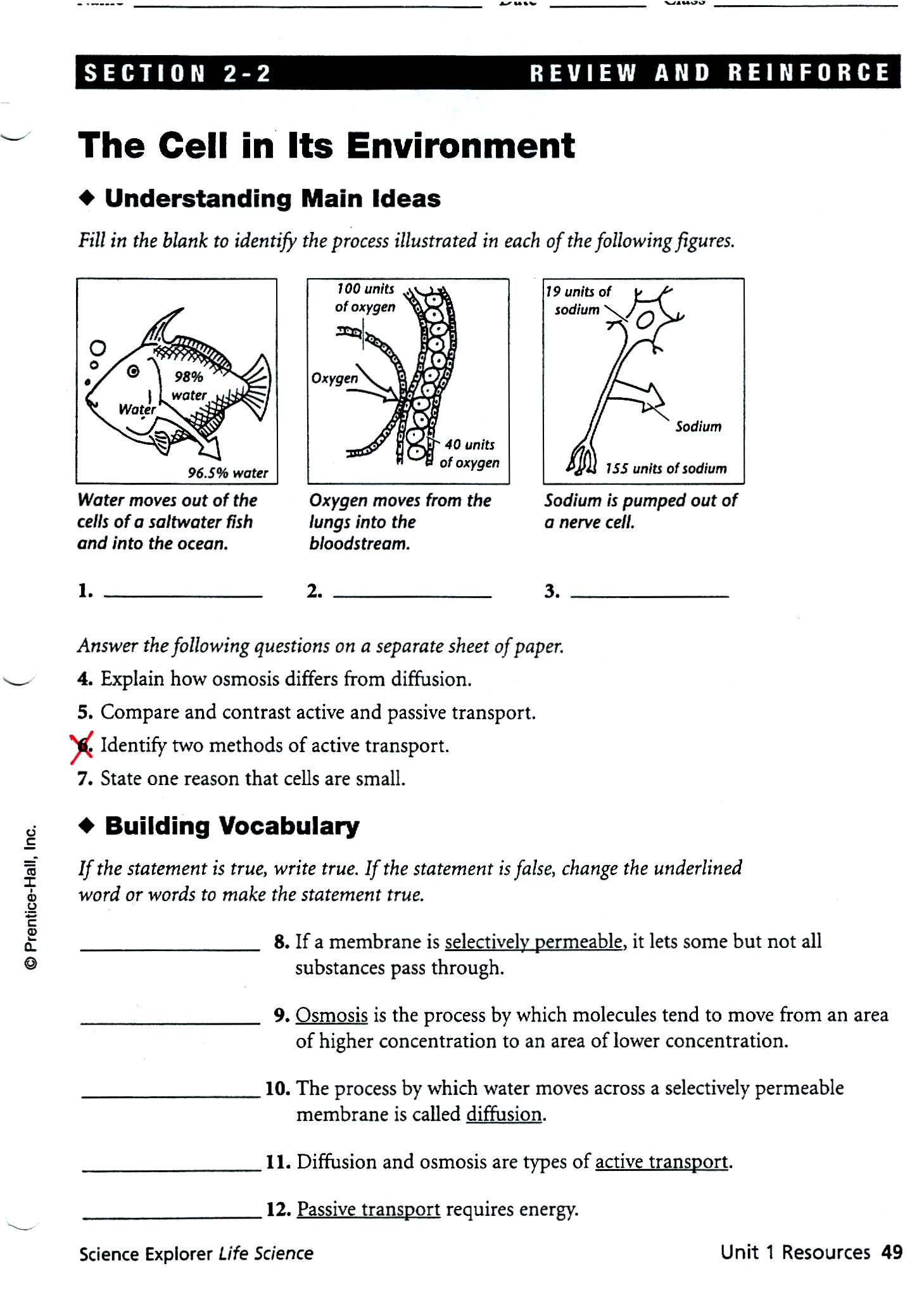 Cells And Their Environment Worksheets Answer Key Cells And Their Environment Worksheets Answer Key