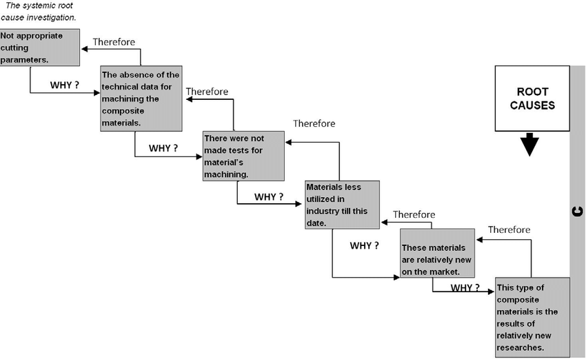 The Worksheet For The 5