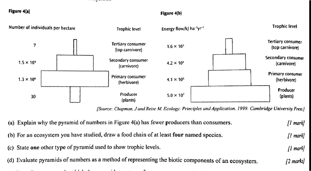 Throughout The World Ecosystem Diagram Worksheet