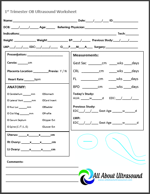 Ultrasound Technologist Worksheets