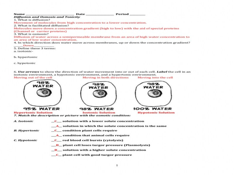 Worksheet Osmosis Tonicity Key  1375444