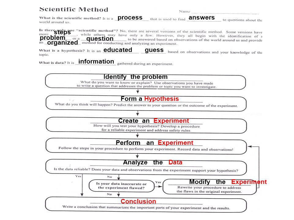 The Scientific Method Answer Sheet Scientific Method Workshe