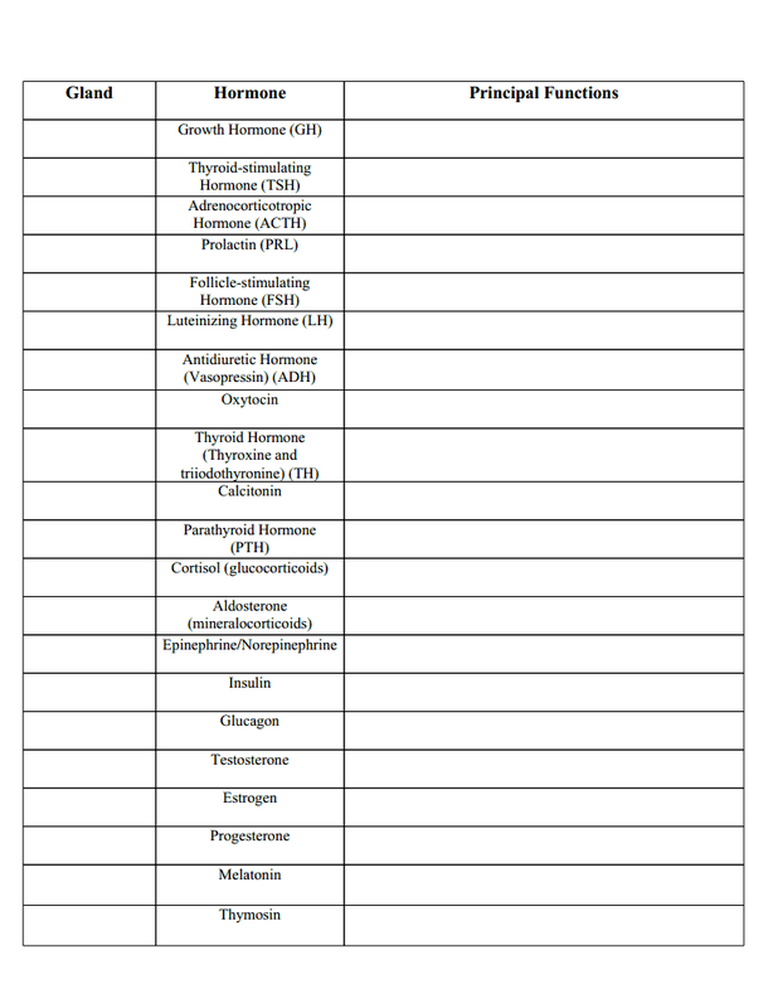 Worksheets The Endocrine System, The Endocrine System Worksheet