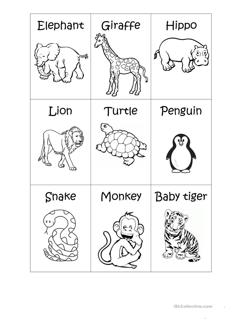 Zoo Animal Math Worksheets Kindergarten 1450578