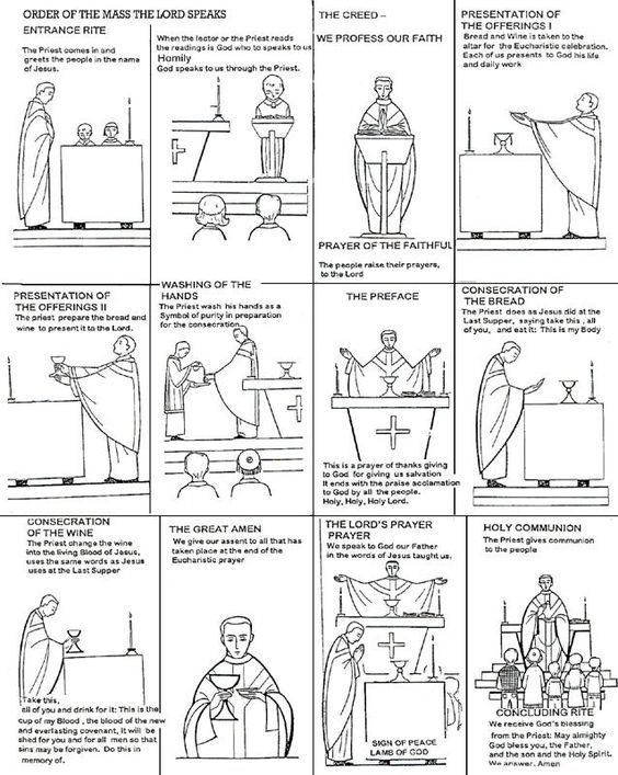 The Parts Of The Mass Worksheet