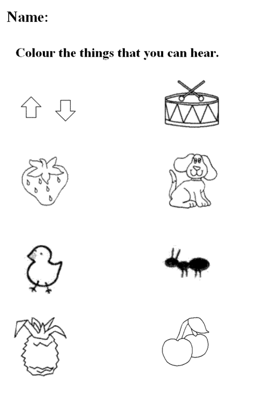 Five Senses Worksheets For Kindergarten