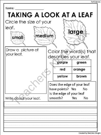 Fall Leaf Observation Sheet