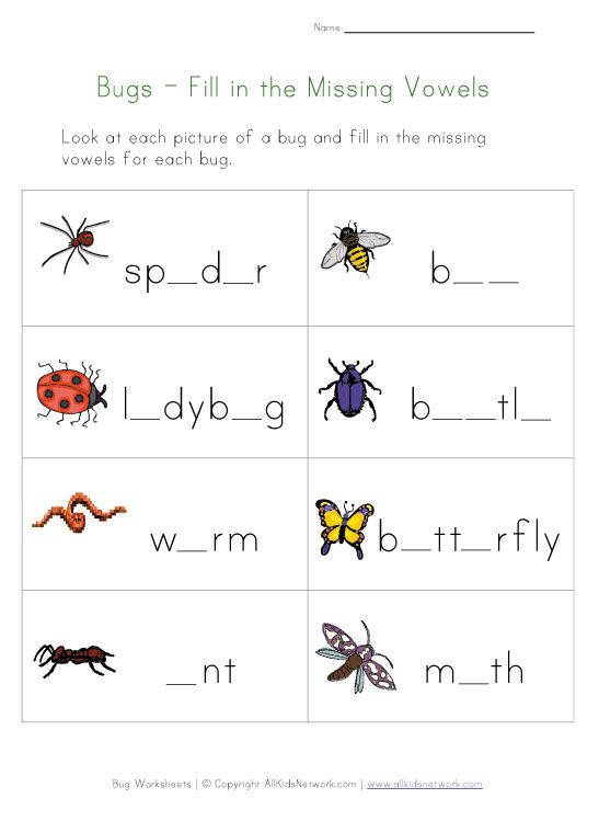 Insect Worksheet For Kids